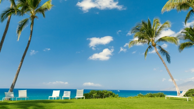 “你再玩手机，我就把它没收了！”比这句话更有用的是…建议所有家长看一看！